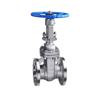 CS Gate Valves-p