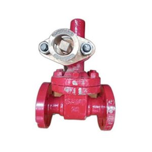 Cast CS Parallel Slide Blow off Valves-p