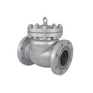 Cast CS Swing Check Valves Flange-p