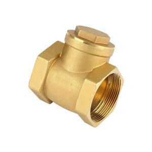 Horizontal Check Valve-p