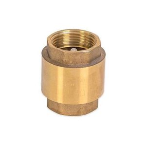 Vertical Check Valve-p